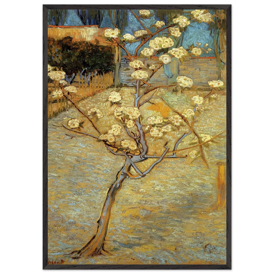 Pear Tree in Blossom - Vincent van Gogh 70x100 cm / 28x40 inches Framed Art Print – Black Wooden Frame