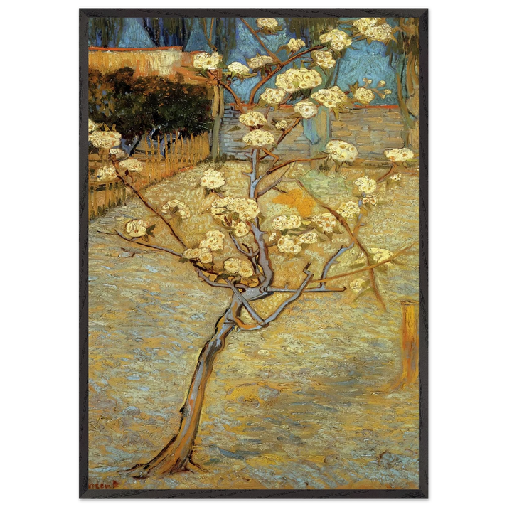 Pear Tree in Blossom - Vincent van Gogh 70x100 cm / 28x40 inches Framed Art Print – Black Wooden Frame