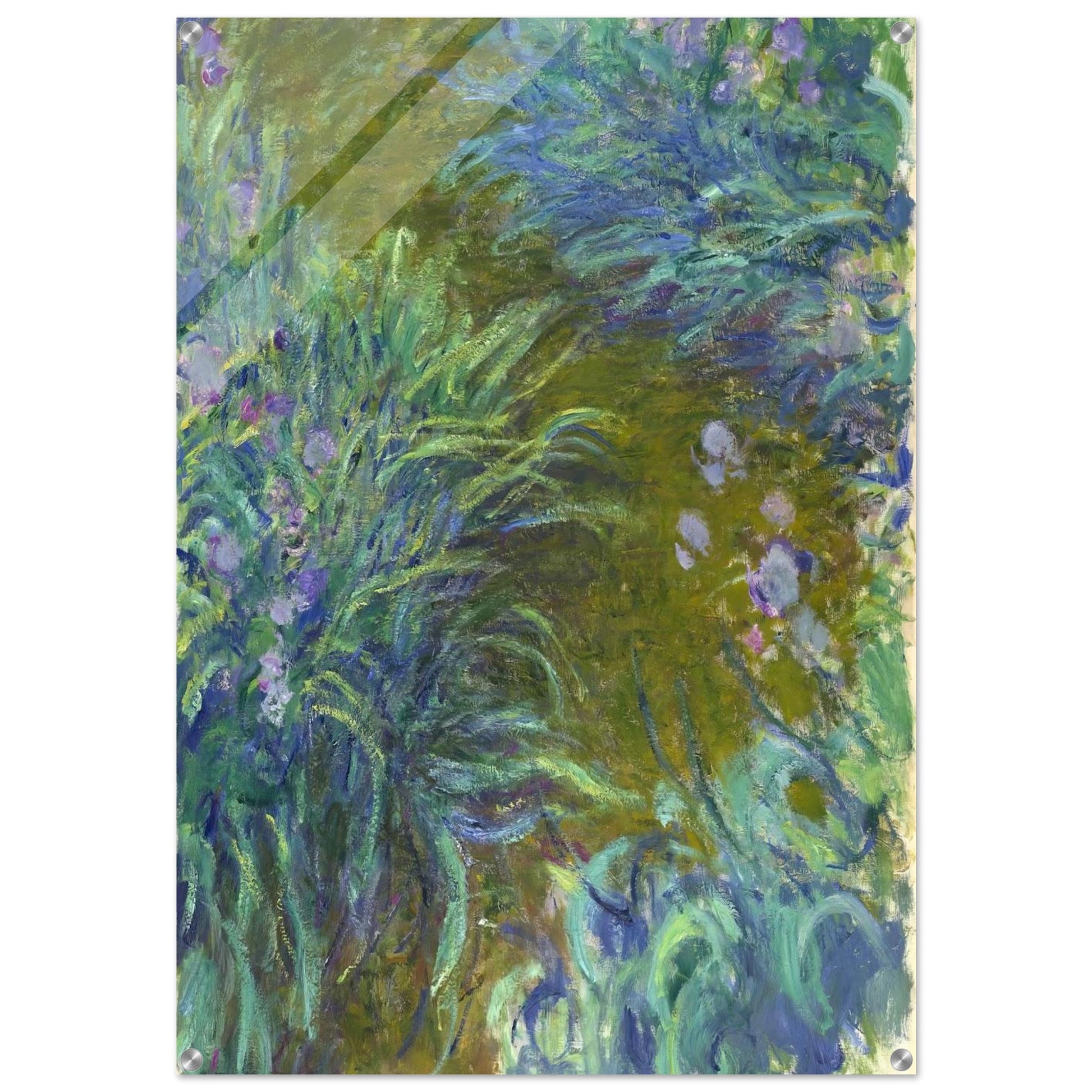 Path through the Irises 02 - claude monet Acrylic Print - 70x100 cm / 28x40″ inches