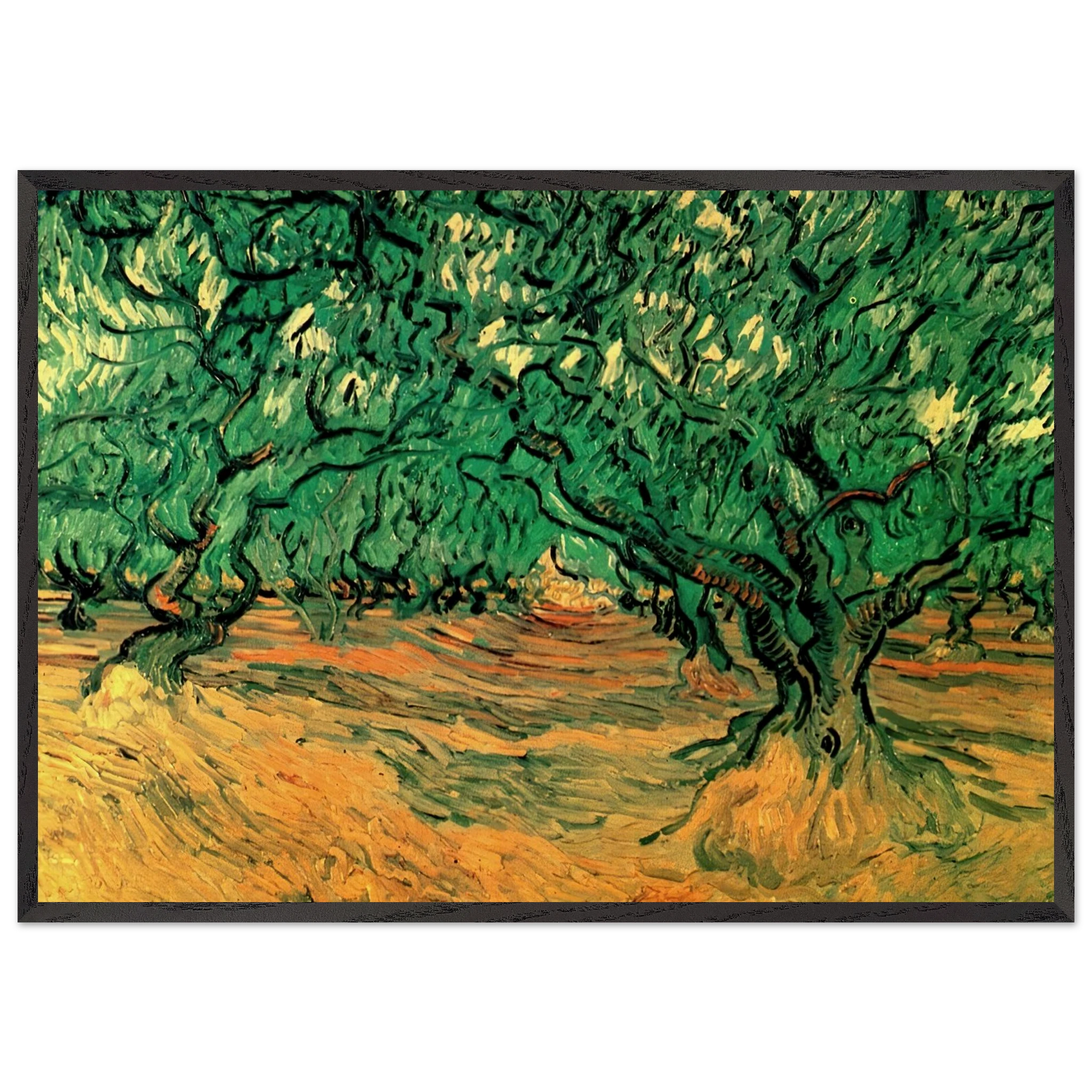 Olive Trees - Vincent van Gogh Framed Art Print – Black Wooden Frame - Default Title - -Framed Art Print