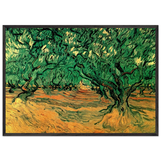 Olive Trees - Vincent van Gogh 70x100 cm / 28x40 inches Framed Art Print – Black Wooden Frame
