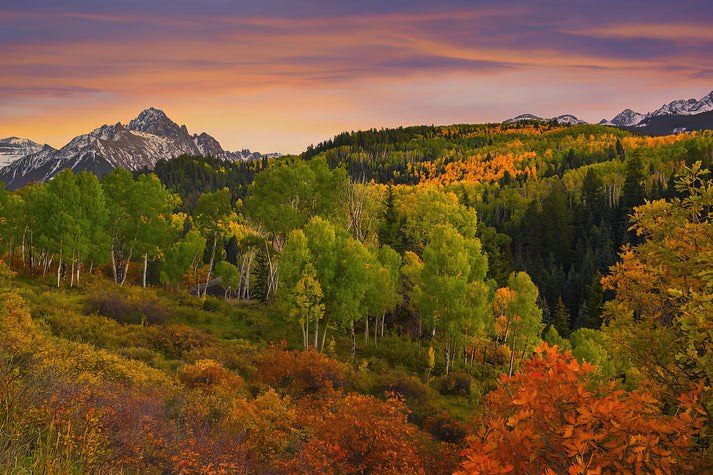 Early Fall Morning Art Print | Museum-Quality Fine Art Print | RedKalion