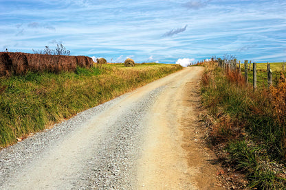 Farm Road Fine Art Print | Country Landscape Painting | RedKalion