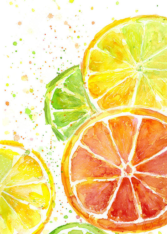 Fruit Watercolor Painting Art Print | Museum-Quality Reproduction | RedKalion