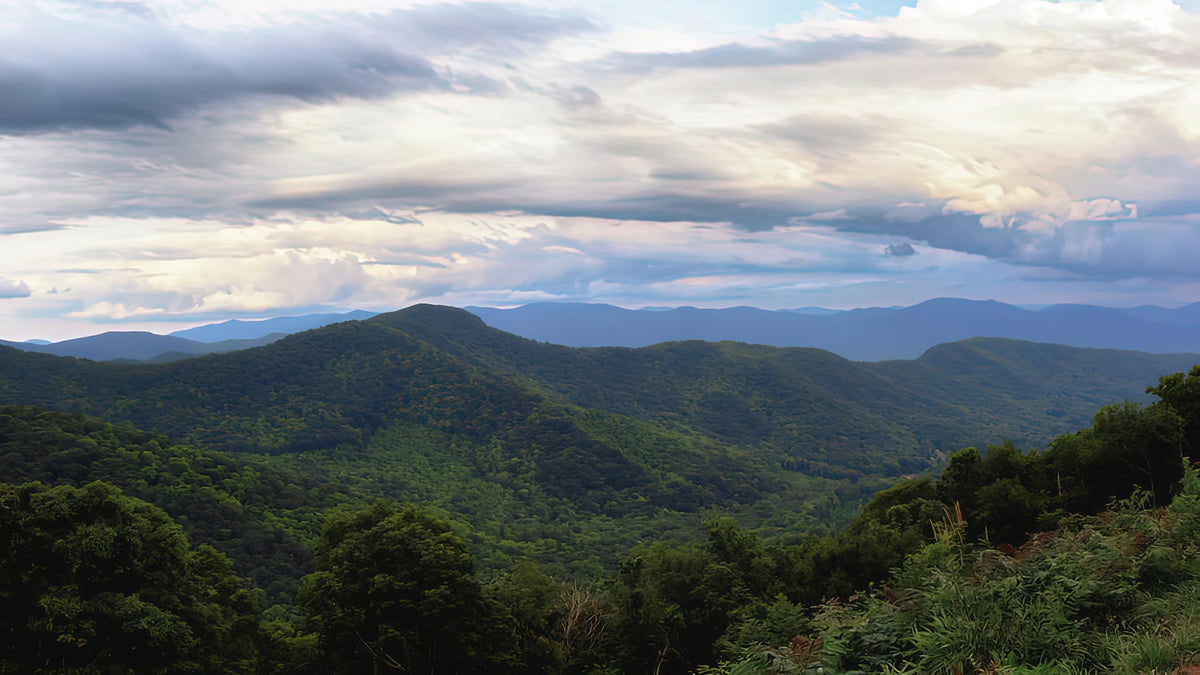 Lane Pinnacle Overlook Art Print | Blue Ridge Parkway Fine Art Print | RedKalion