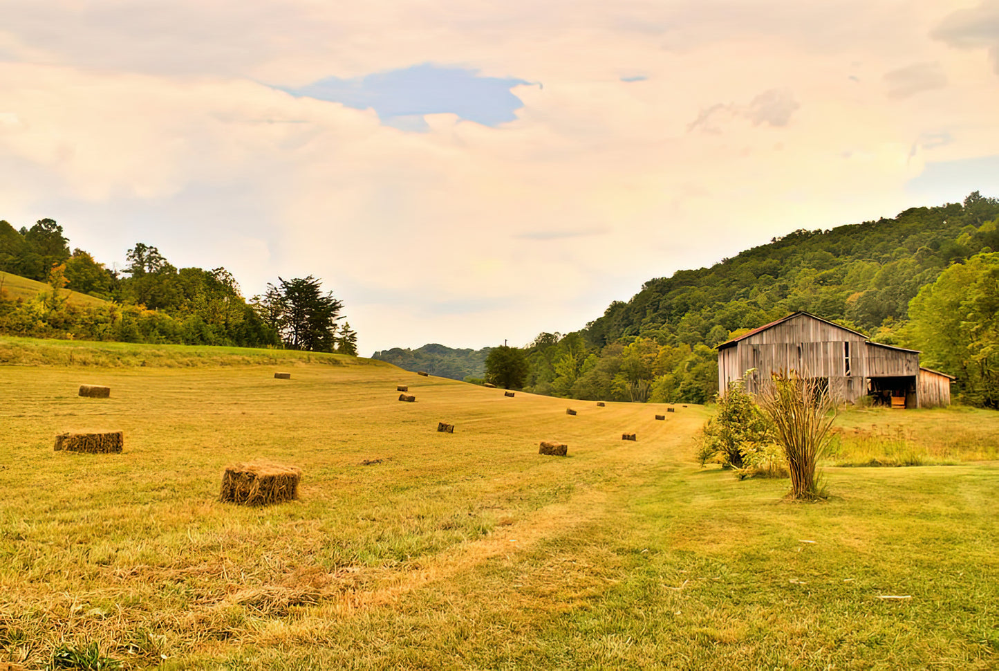 Pastorial Framland in Kentucky Art Print | RedKalion