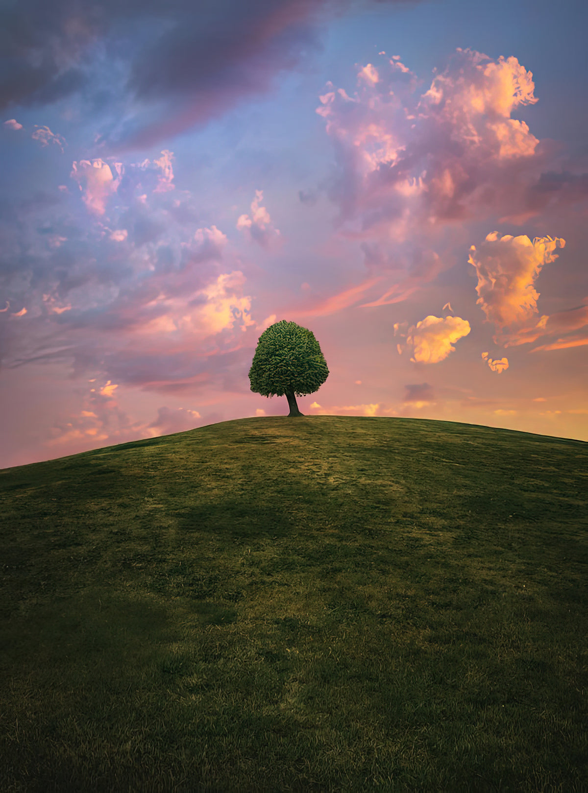 Tree on a Hill Art Print | Sunset Landscape Fine Art Print | RedKalion