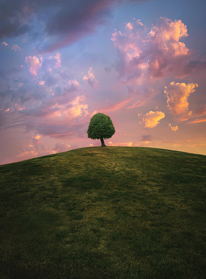 Tree on a Hill Art Print | Sunset Landscape Fine Art Print | RedKalion