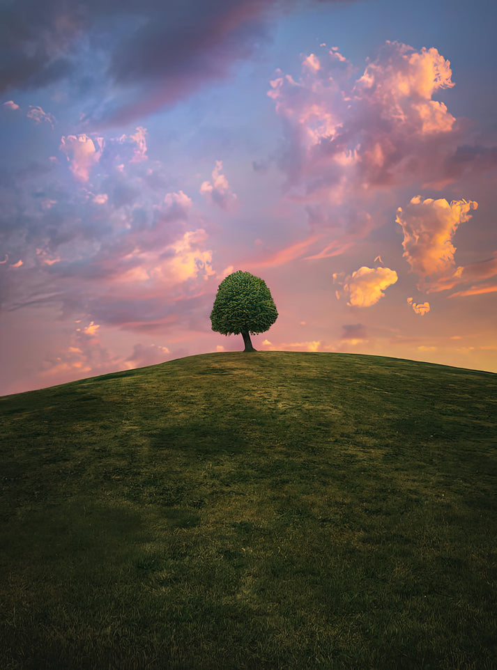Tree on a Hill Art Print | Sunset Landscape Fine Art Print | RedKalion