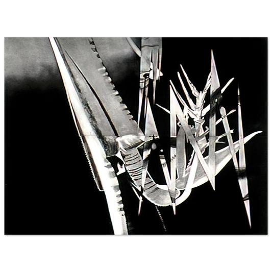 James Rosenquist - The Prickly Dark Fine Art Poster - Default Title