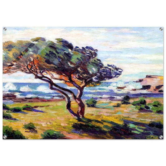 a145a00b-de5c-44af-ba49-478d40f0523f