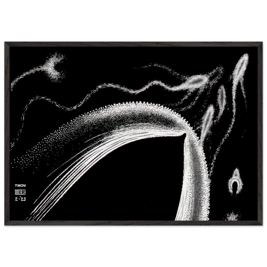 DOLPHINS - MC Escher Framed Art Print – Black Wooden Frame - Default Title - -Framed Art Print