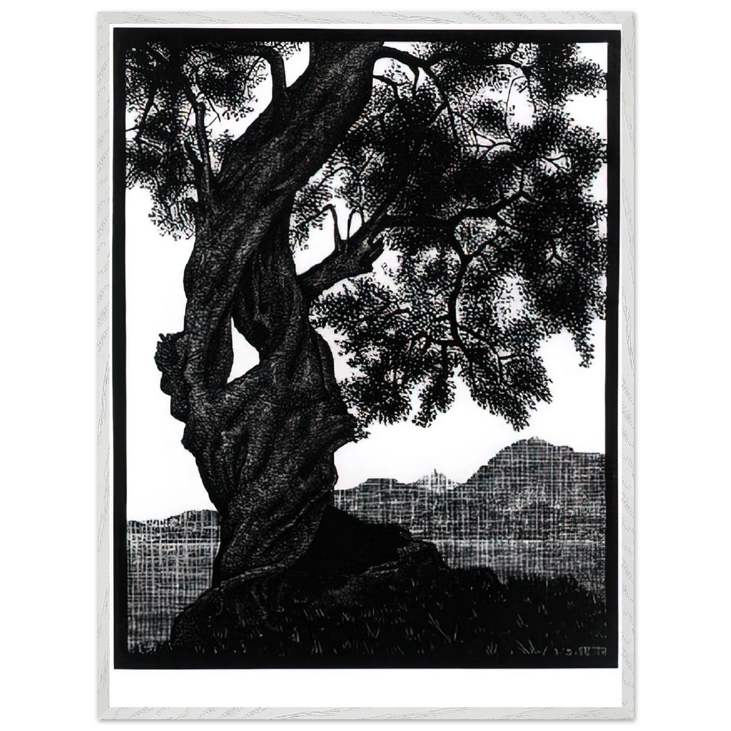 MC Escher - OLD OLIVE TREE CORSICA Wall Art - 60x80 cm / 24x32 inches - Premium Wooden Framed Poster With Fine Art Paper - White frame