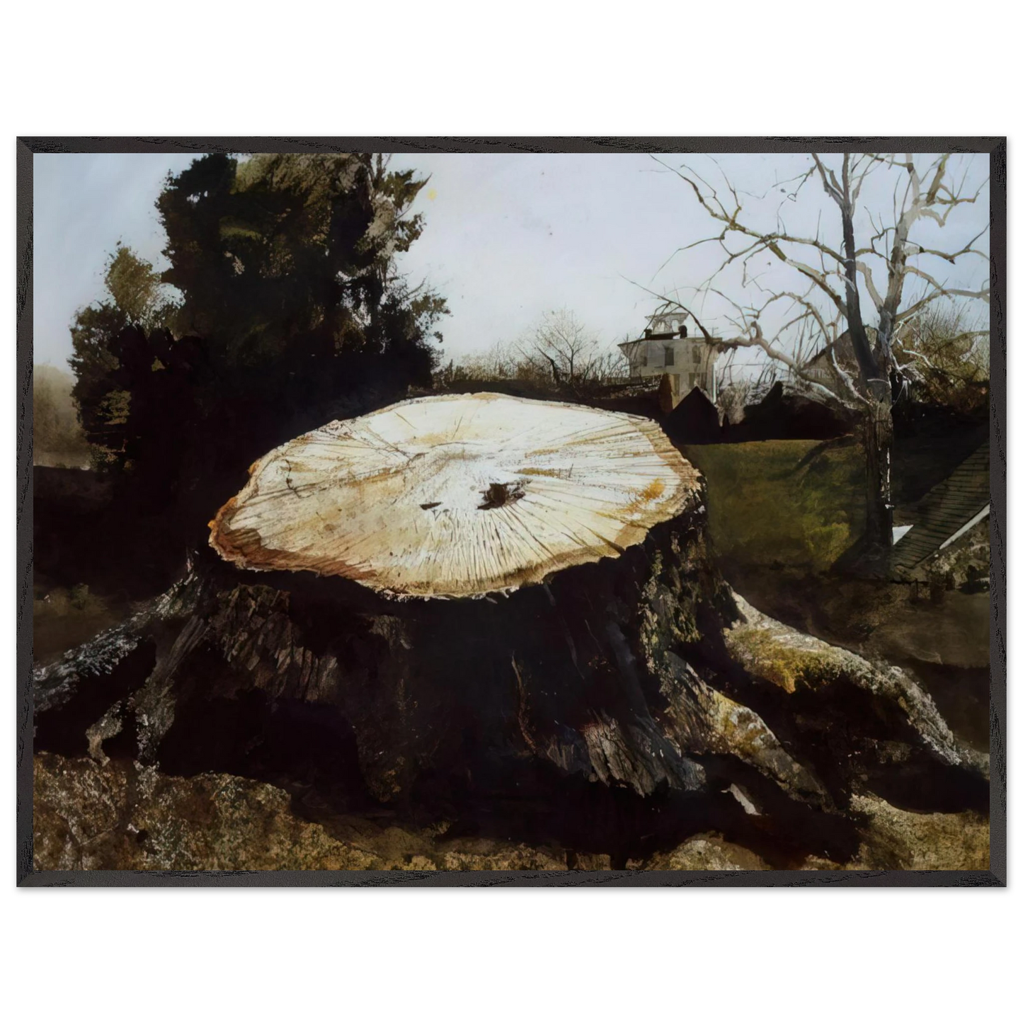 Andrew Wyeth - THE BIG OAK Wall Art - 60x80 cm / 24x32 inches - Fine Art Poster - -