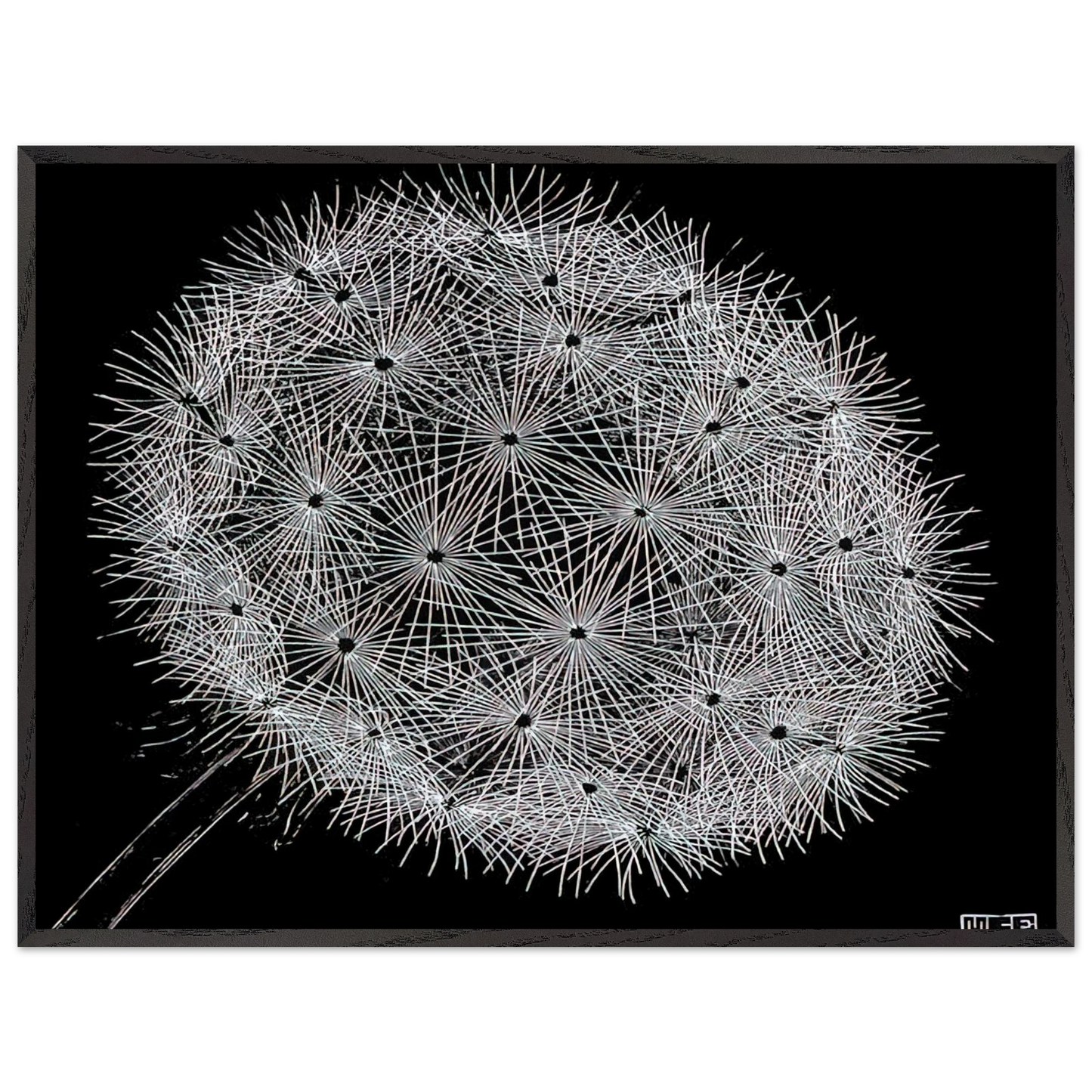 MC Escher - BLOWBALL II Wall Art - 60x80 cm / 24x32 inches - Premium Wooden Framed Poster With Fine Art Paper - Black frame