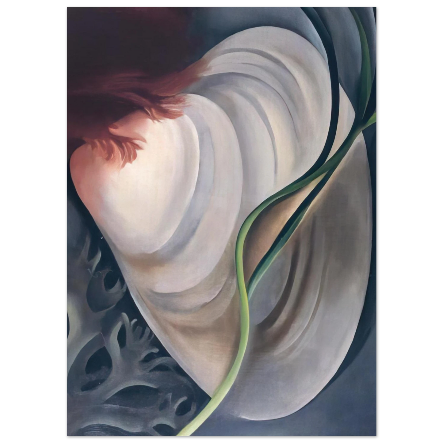 Georgia O'Keeffe - Shell No 2 Fine Art Poster - 40x60 cm / 16x24 inches