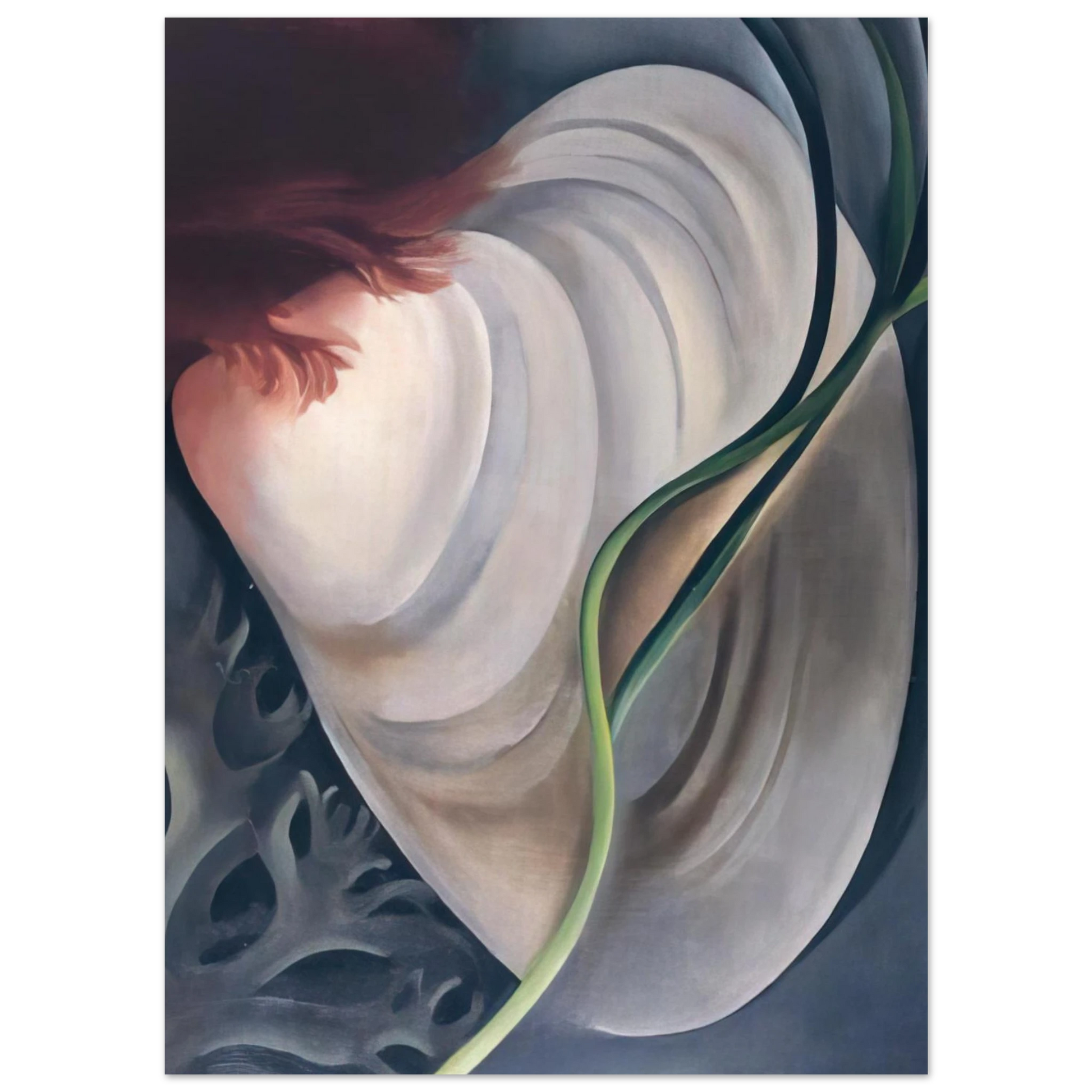 Georgia O'Keeffe - Shell No 2 Fine Art Poster - 40x60 cm / 16x24 inches