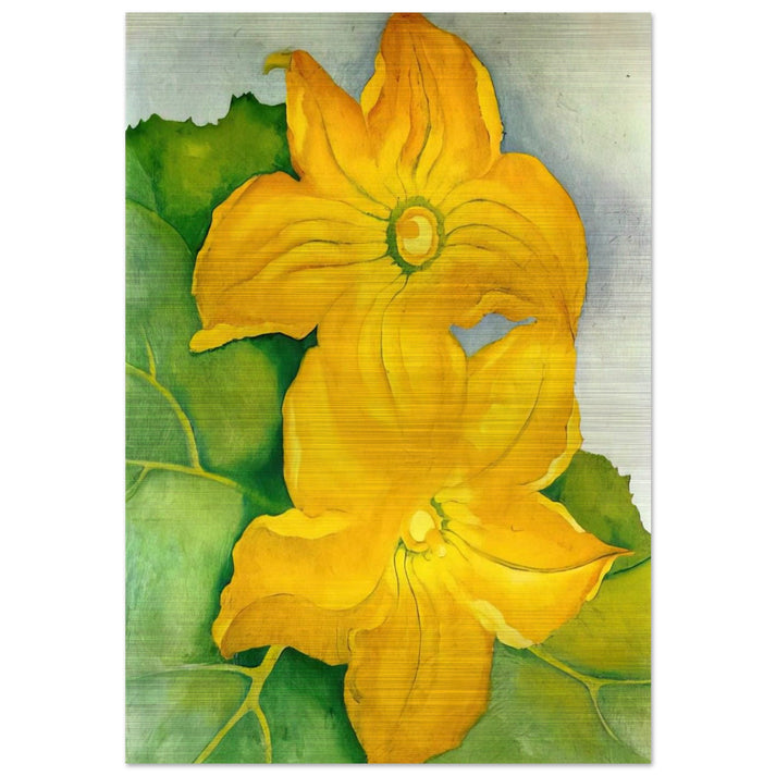 Squash Blossoms I - Georgia O'Keeffe Brushed Aluminum Print - 70x100 cm / 28x40 inches | Georgia O'Keeffe Aluminum Print | Georgia O'Keeffe Prints