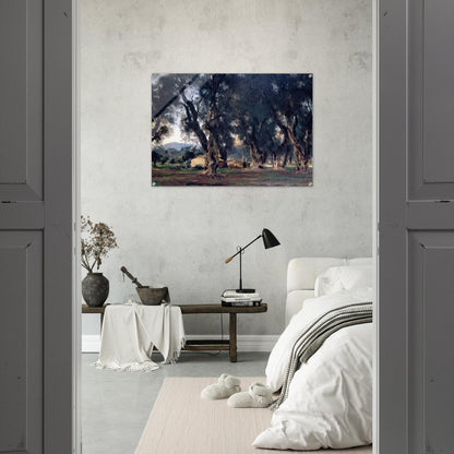 Olive Trees at Corfu - John Singer Sargent Acrylic Print - 70x100 cm / 28x40″ inches