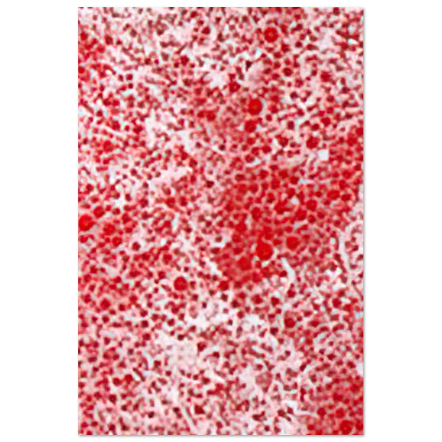 Yayoi Kusama - BEYOND THE END OF THE CENTURY 1987 Fine Art Poster - 75x100 cm / 30x40 inches