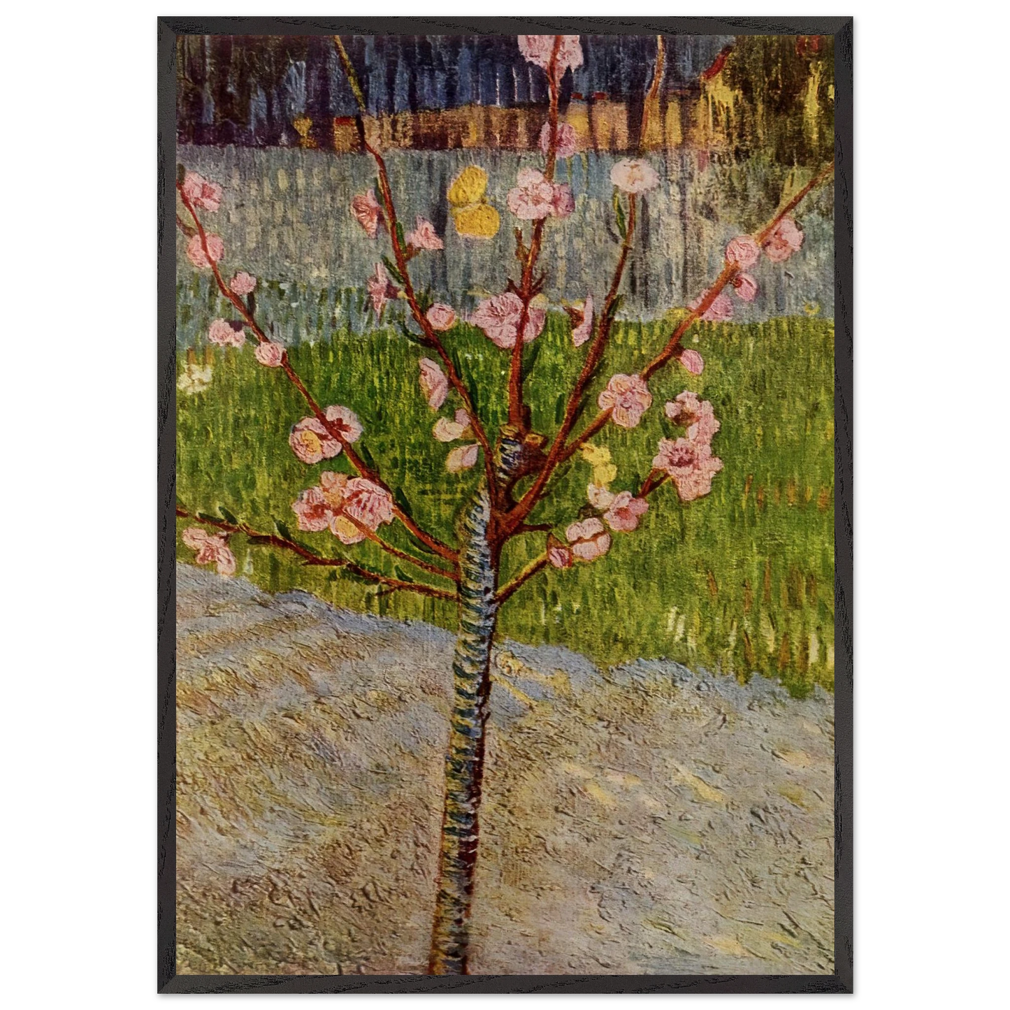 Almond Tree in Blossom - Vincent van Gogh Framed Art Print – Black Wooden Frame - Default Title - -Framed Art Print
