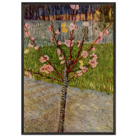 Almond Tree in Blossom - Vincent van Gogh 70x100 cm / 28x40 inches Framed Art Print – Black Wooden Frame