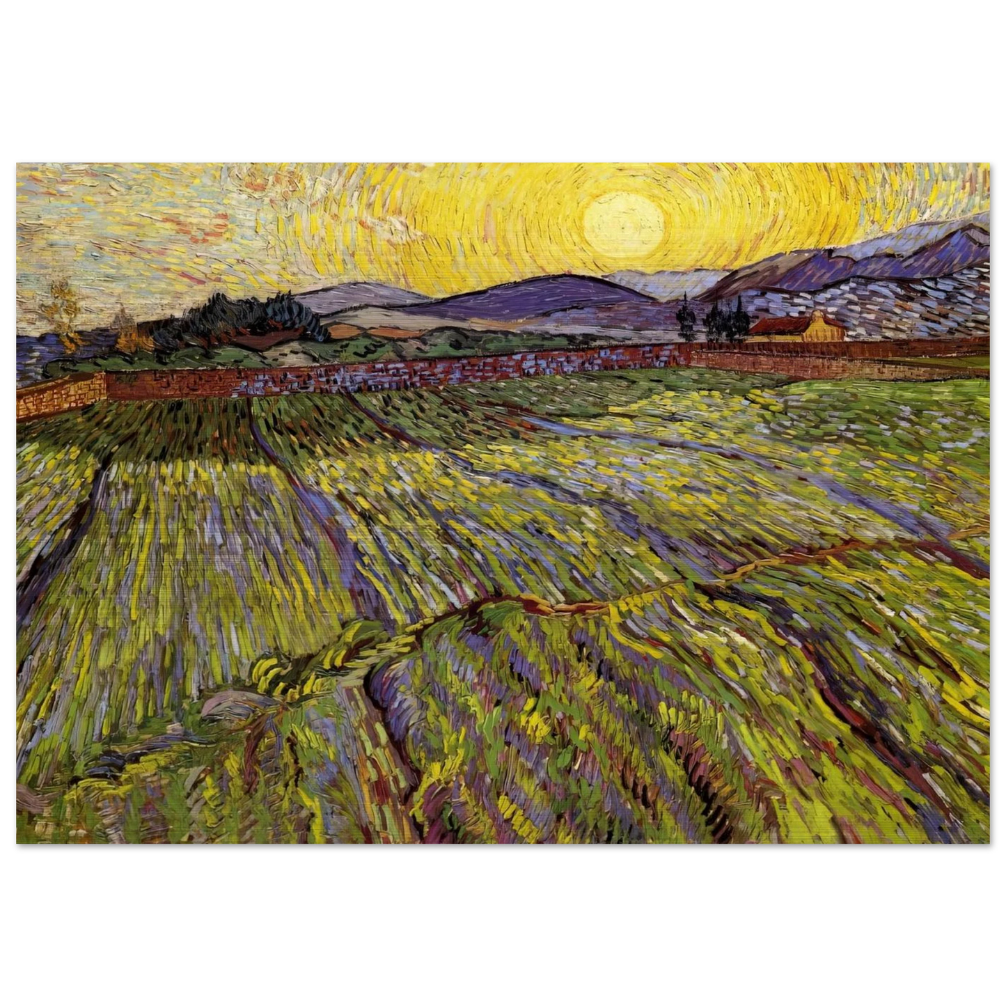 Enclosed field with rising sun - Vincent van Gogh Brushed Aluminum Print - 70x100 cm / 28x40 inches | Vincent van Gogh Aluminum Print | Vincent van Gogh Prints