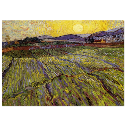 Enclosed field with rising sun - Vincent van Gogh Brushed Aluminum Print - 70x100 cm / 28x40 inches | Vincent van Gogh Aluminum Print | Vincent van Gogh Prints