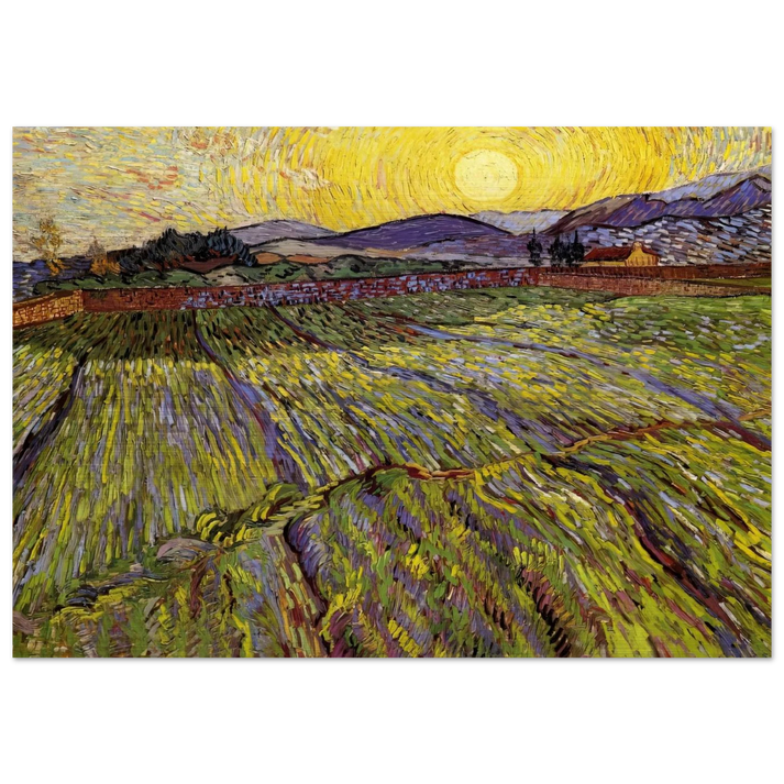 Enclosed field with rising sun - Vincent van Gogh Brushed Aluminum Print - 70x100 cm / 28x40 inches | Vincent van Gogh Aluminum Print | Vincent van Gogh Prints