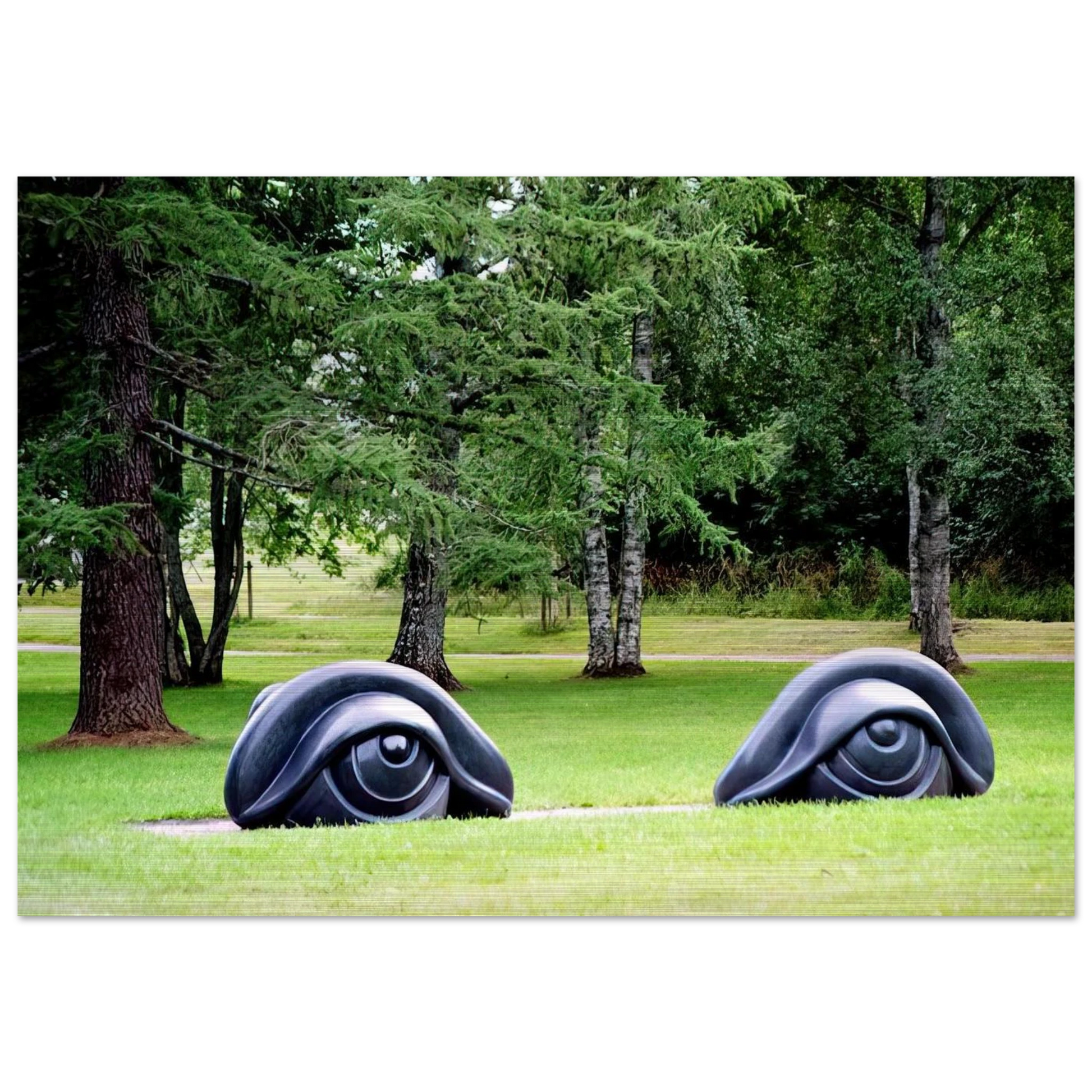 a611d3dc-bb00-4395-8c8e-2ba523ed183c