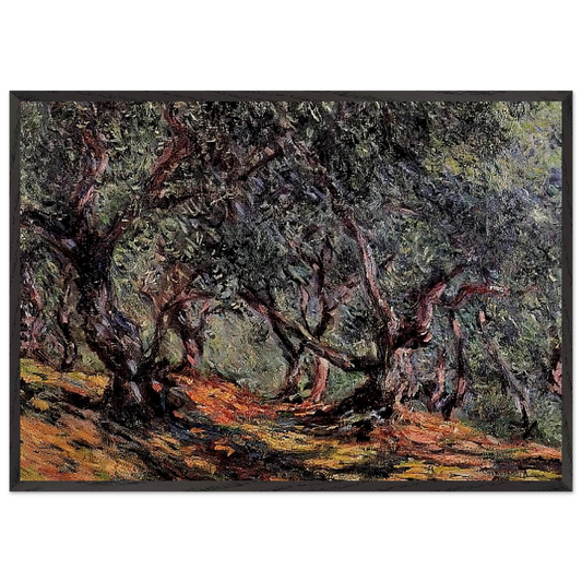 Olive Trees in Bordigher - claude monet 70x100 cm / 28x40 inches Framed Art Print – Black Wooden Frame