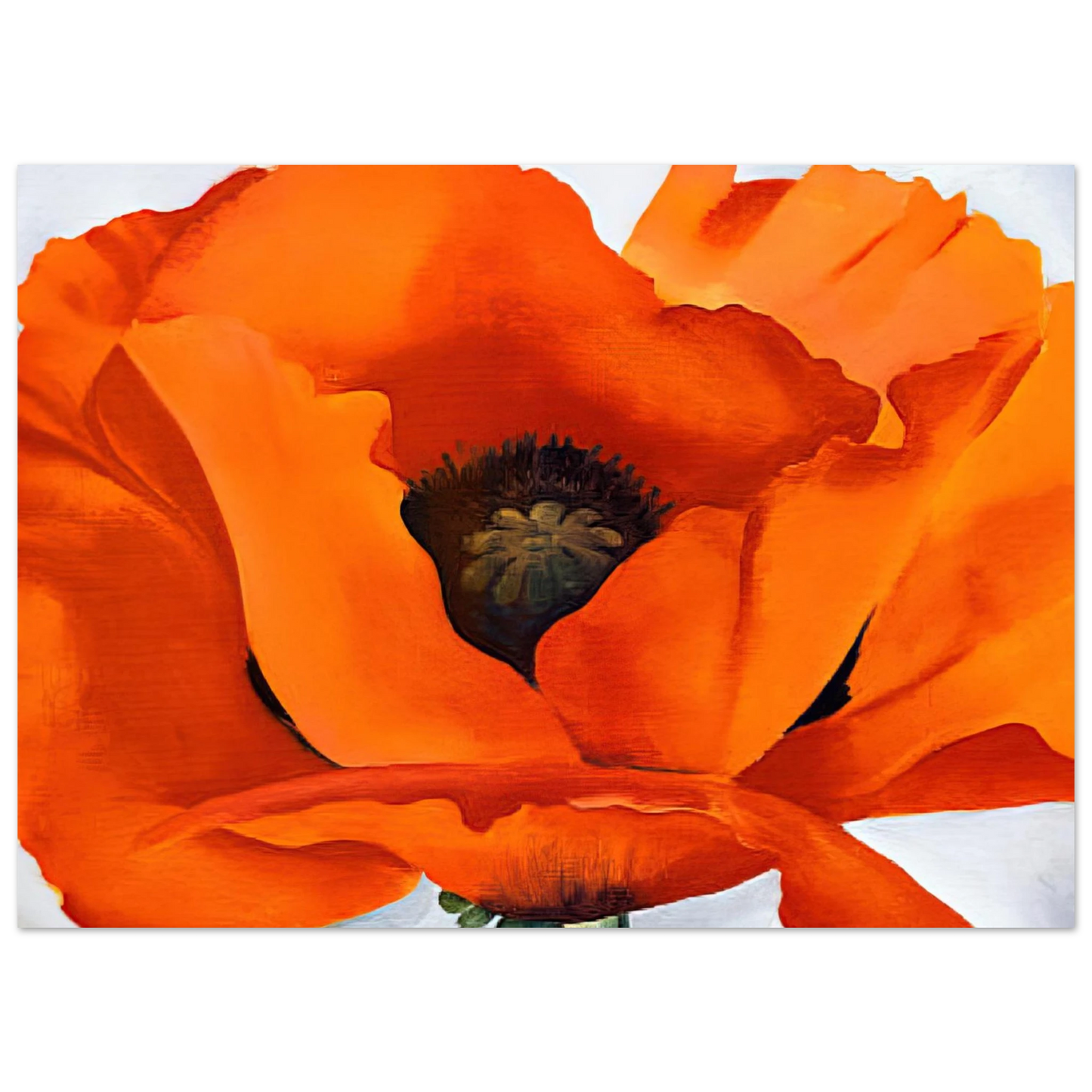 Georgia O'Keeffe - Red Poppy Fine Art Poster - 40x60 cm / 16x24 inches