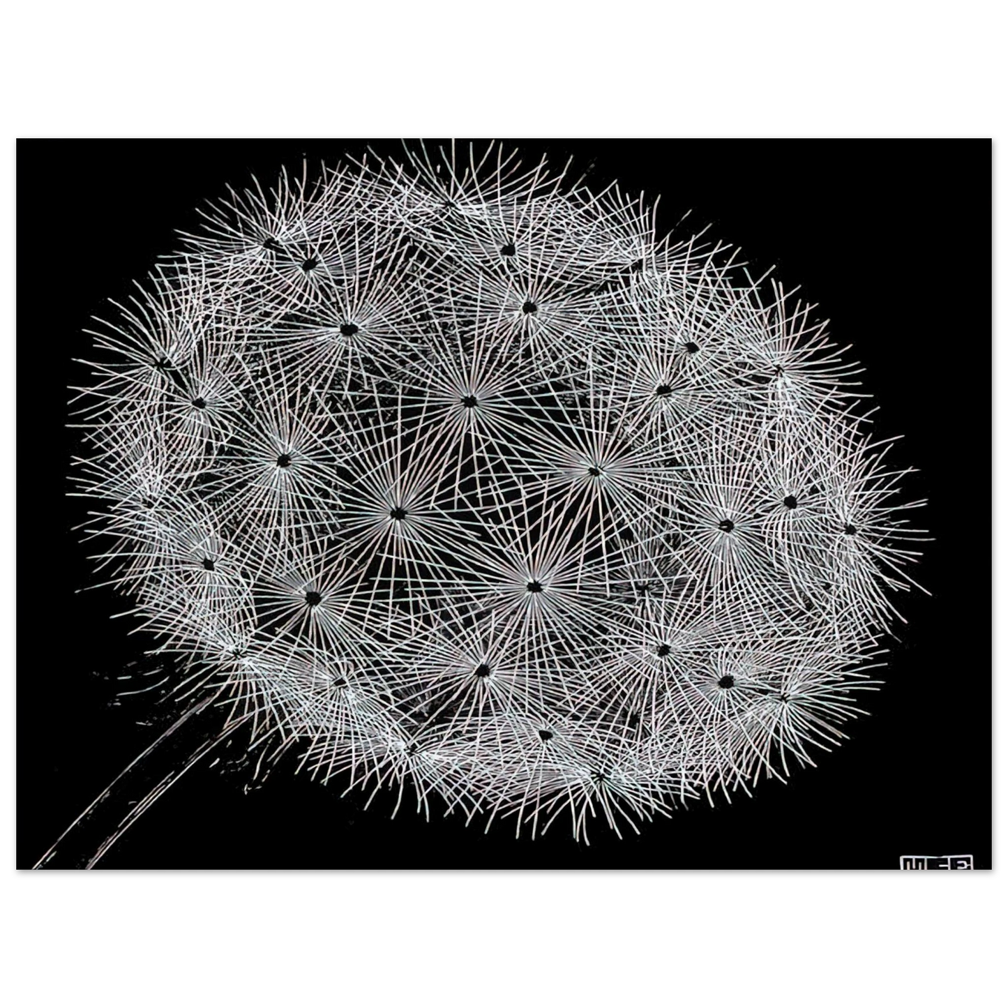 MC Escher - BLOWBALL II Wall Art - 21x29.7 cm / 8x12" - Fine Art Poster - -