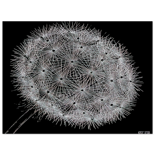 MC Escher - BLOWBALL II Wall Art - 21x29.7 cm / 8x12" - Fine Art Poster - -