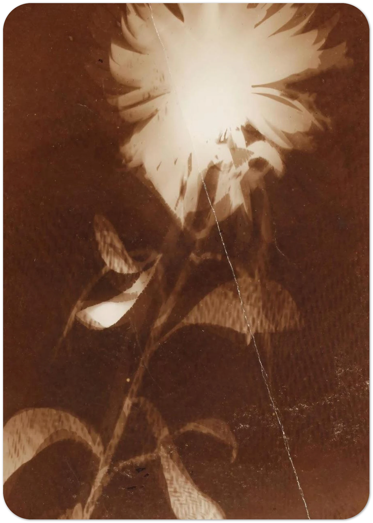 a6cbc4fb-a1cf-4940-8cef-75be098ecdee