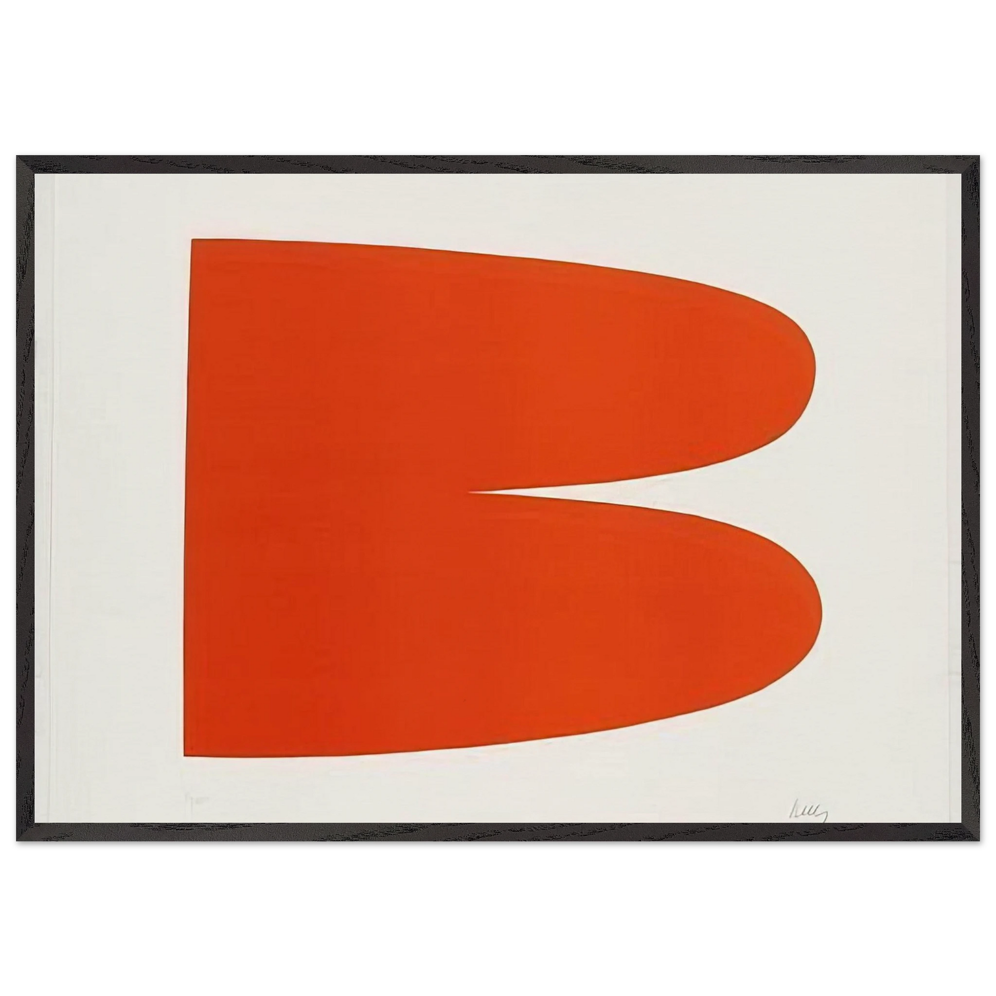 Red-Orange from the Suite of Twenty-Seven Color Lithographs - Ellsworth Kelly Framed Art Print – Black Wooden Frame - Default Title - -Framed Art Print