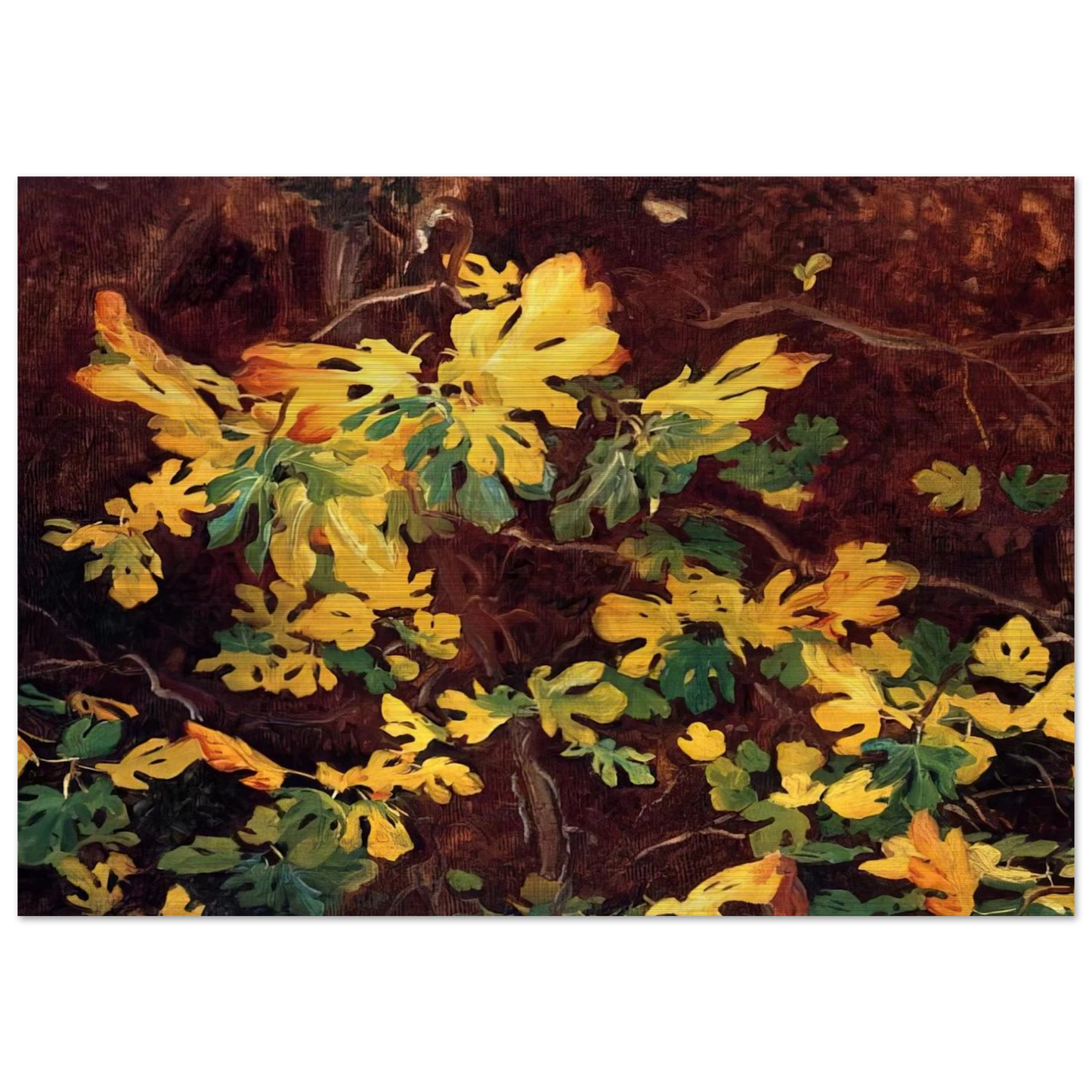 Study of a Fig Tree - John Singer Sargent Brushed Aluminum Print - 70x100 cm / 28x40 inches | John Singer Sargent Aluminum Print | John Singer Sargent Prints