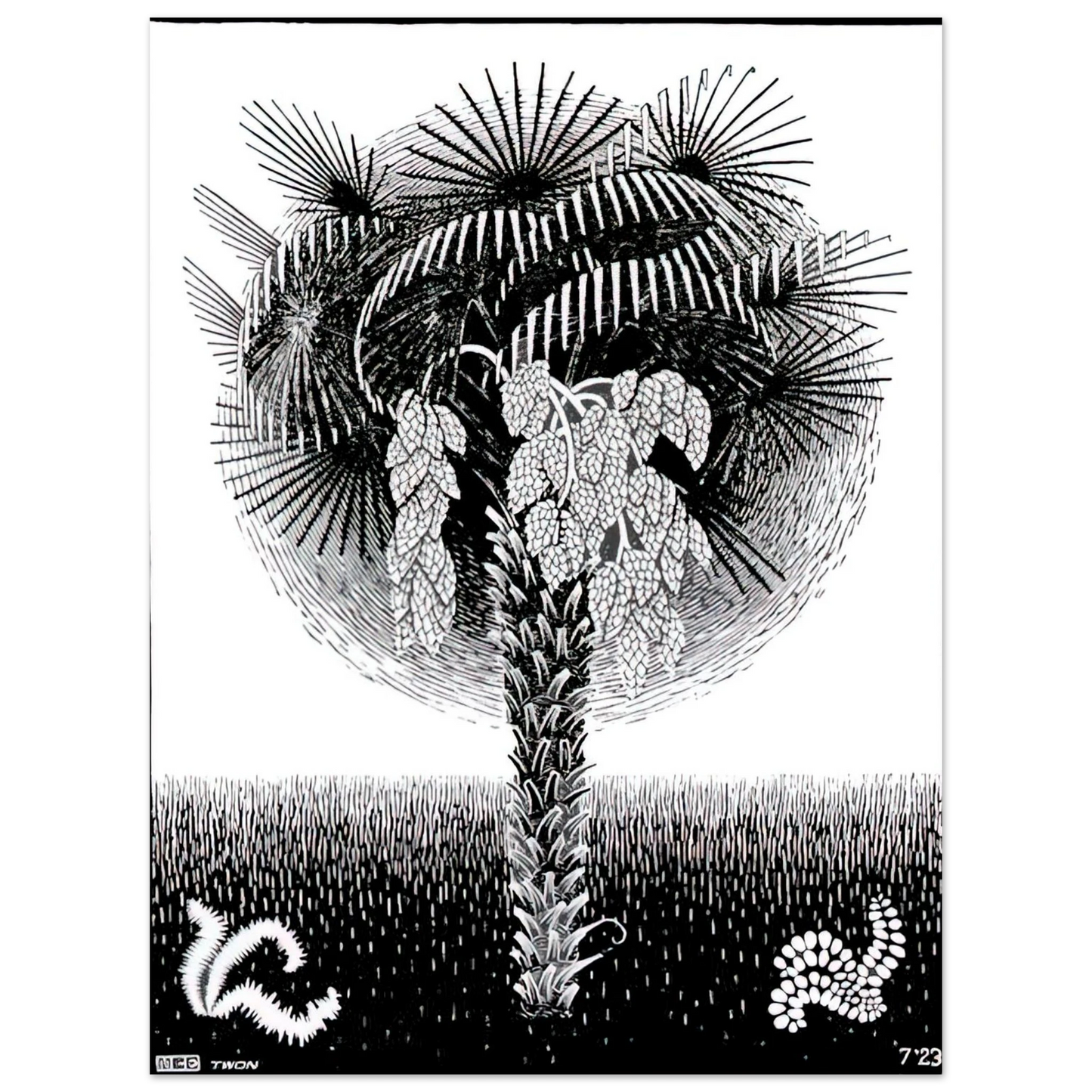 MC Escher - PALM TREE Wall Art - 21x29.7 cm / 8x12" - Fine Art Poster - -