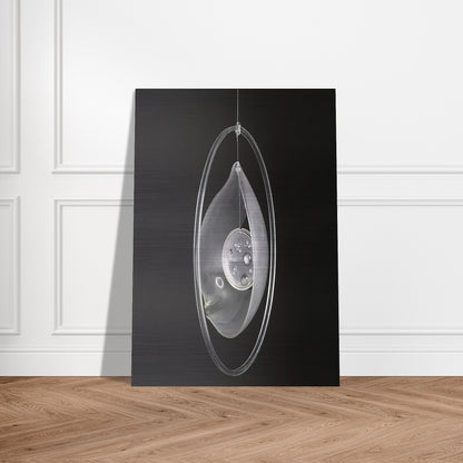 a881f9ae-7385-4c3d-85b8-84f856809346