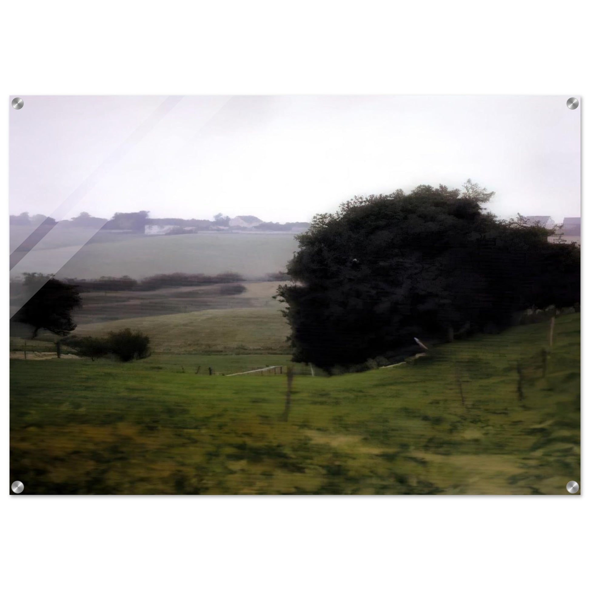 MEADOWLAND - Gerhard Richter Acrylic Print - 70x100 cm / 28x40″ inches