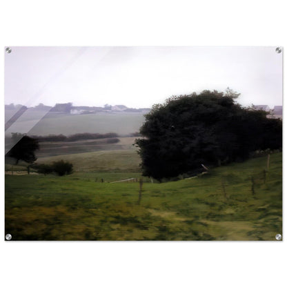 MEADOWLAND - Gerhard Richter Acrylic Print - 70x100 cm / 28x40″ inches