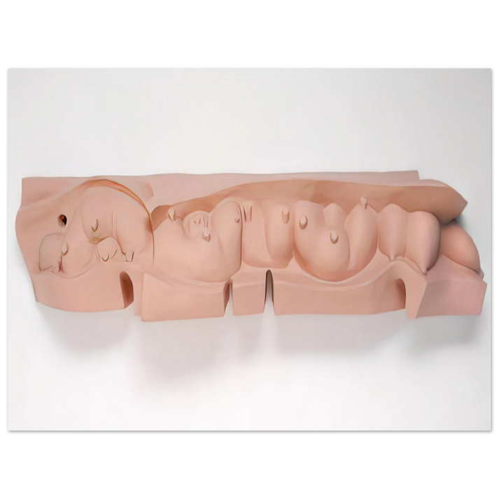 Louise Bourgeois - MAMELLES 1991  75x100 cm / 30x40inches Fine Art Poster