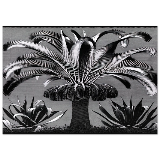 aa85f142-c354-40a8-9599-2d7263b920a8