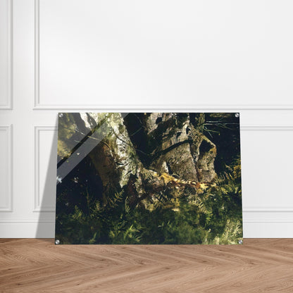 ab0e0d9c-fc12-48fa-b9a5-481ac5bd890d