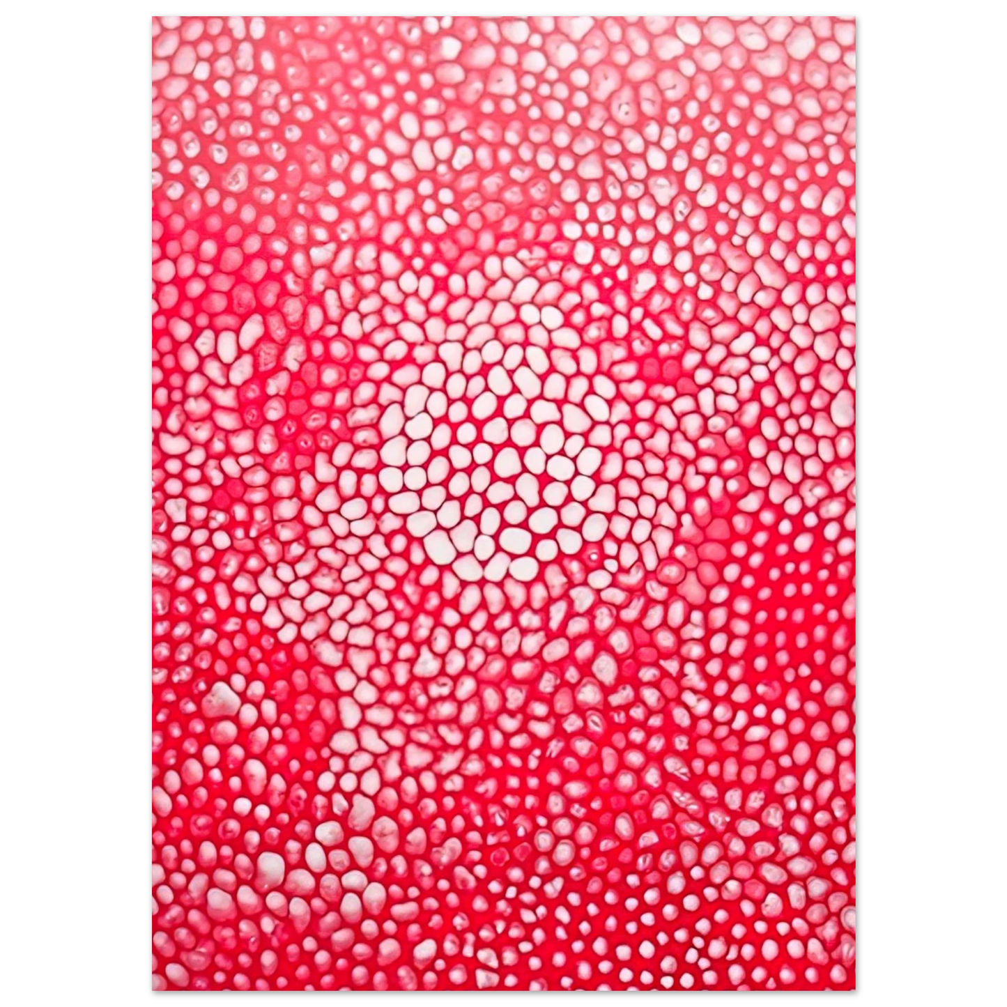 Yayoi Kusama - SUNLIGHT 1998 Fine Art Poster - 40x60 cm / 16x24 inches