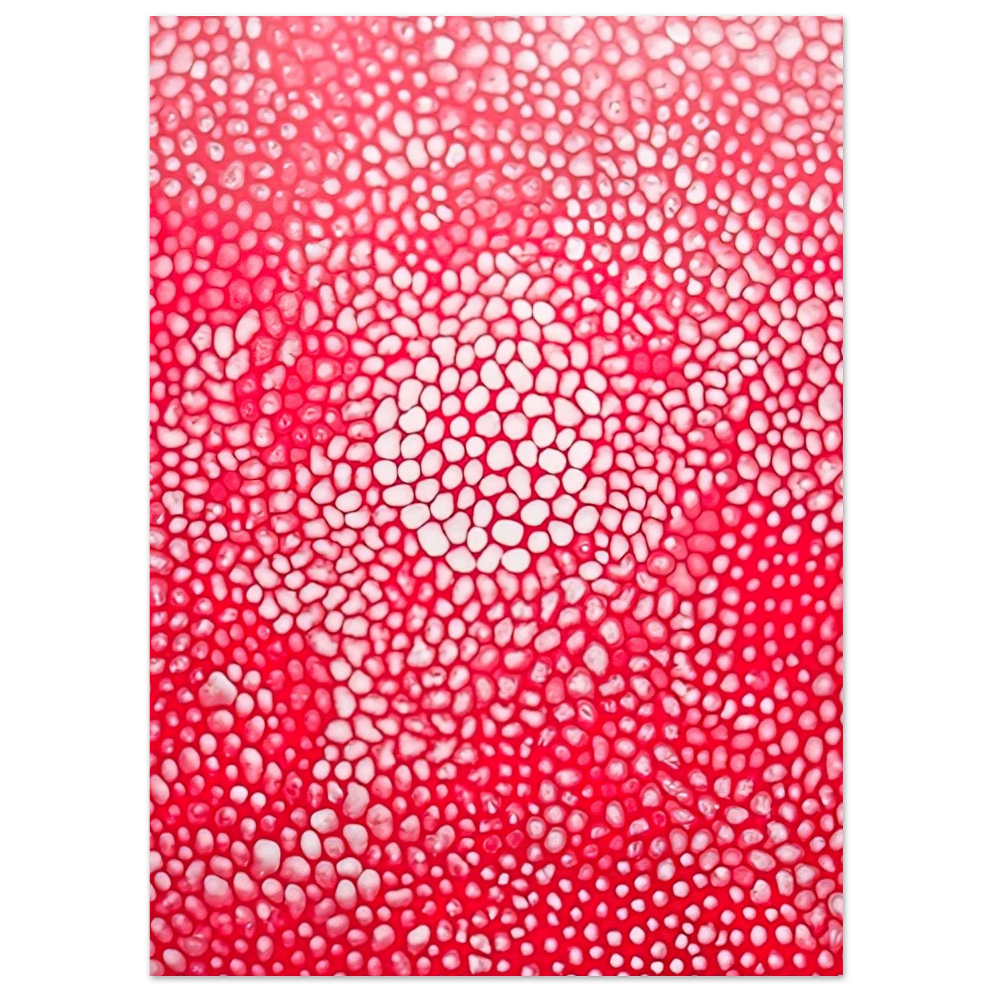 Yayoi Kusama - SUNLIGHT 1998 Fine Art Poster - 40x60 cm / 16x24 inches