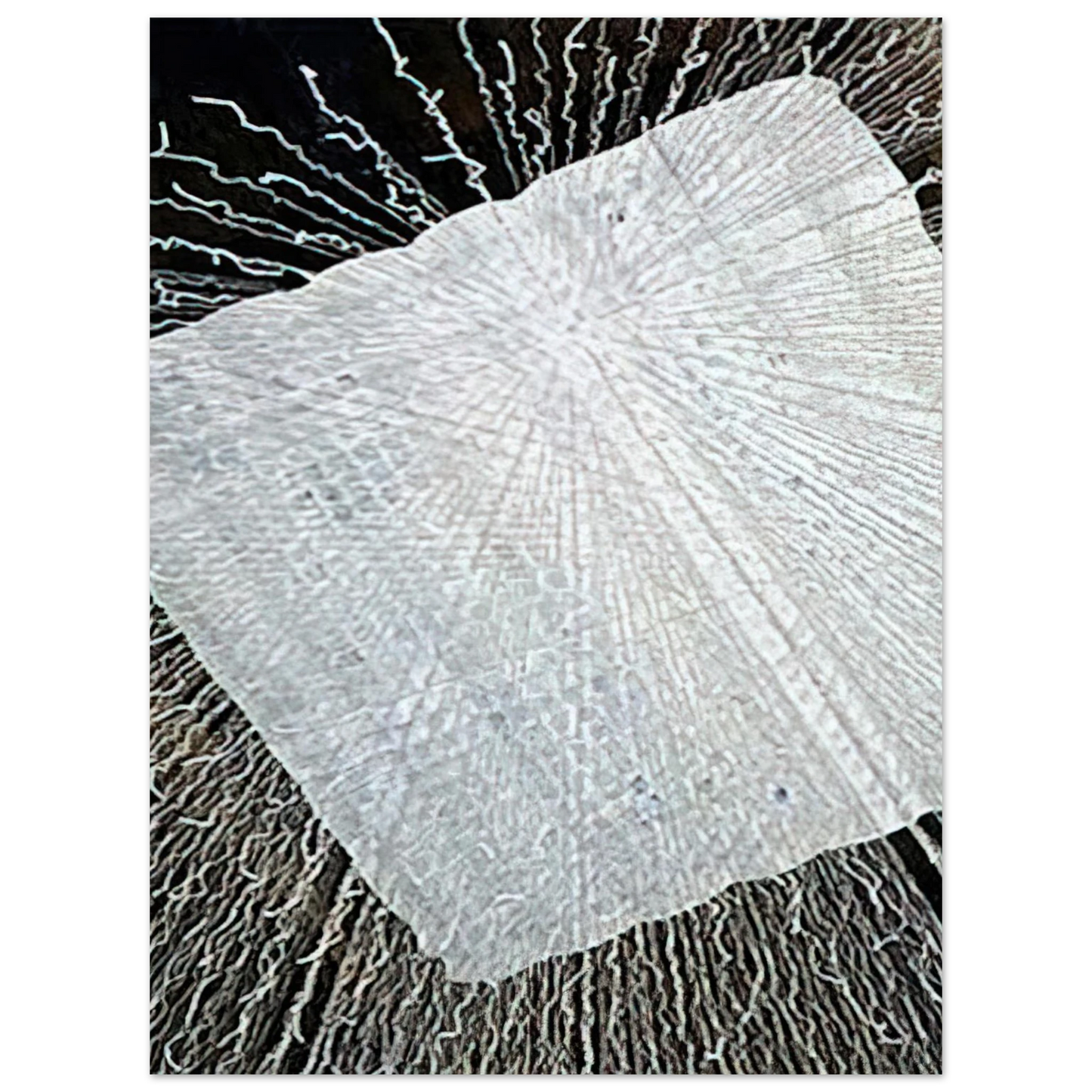 Lenore Tawney - CLOUD SERIES V 1978 Fine Art Poster - Default Title
