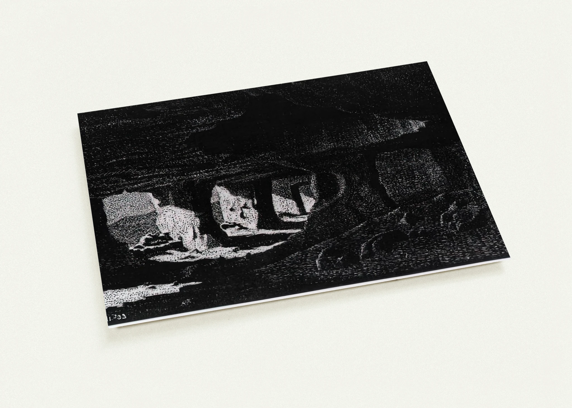 abfe1298-99ff-4f6a-b59b-4ad4e9a80040