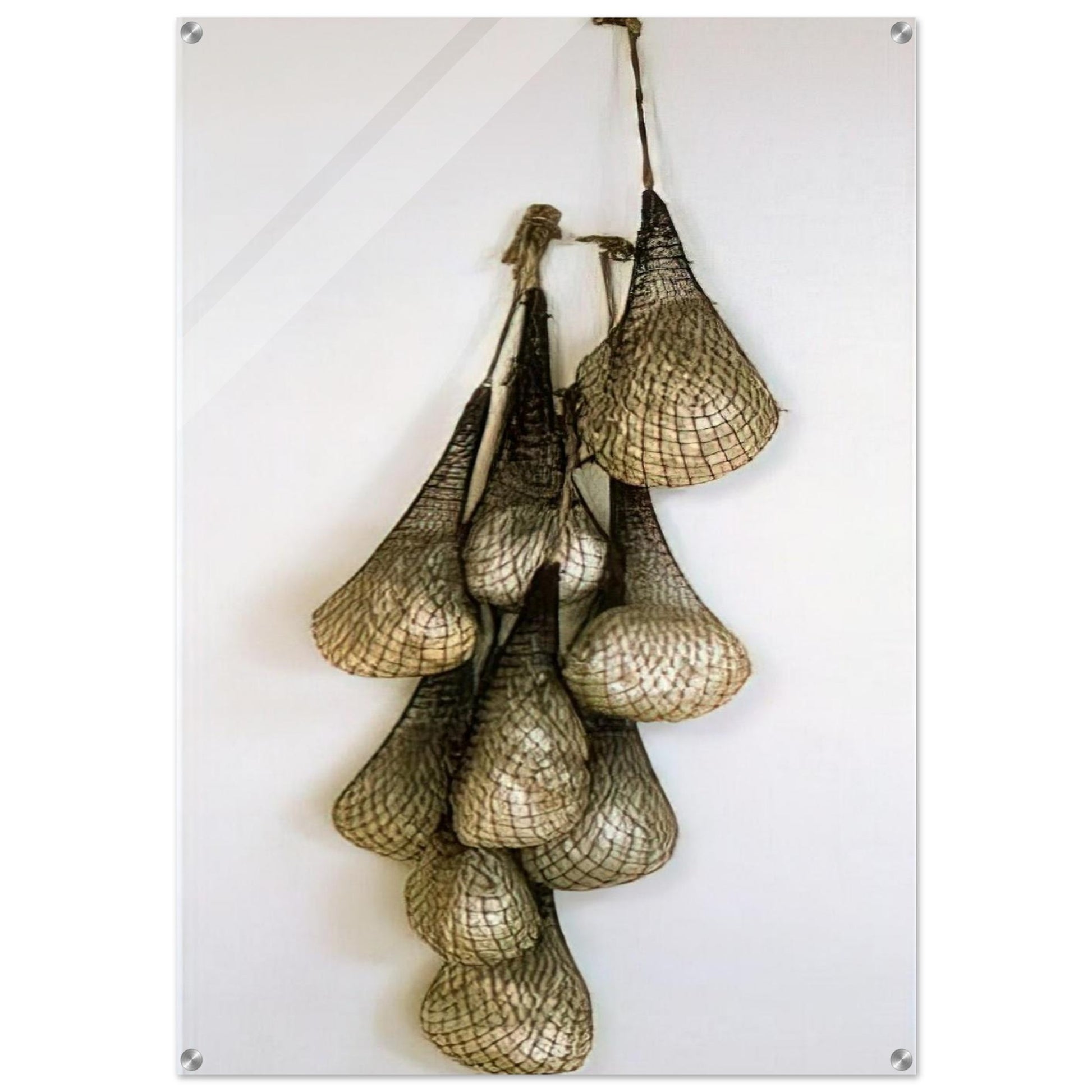 ac07d220-a80b-4853-8591-1b170c37cf3c