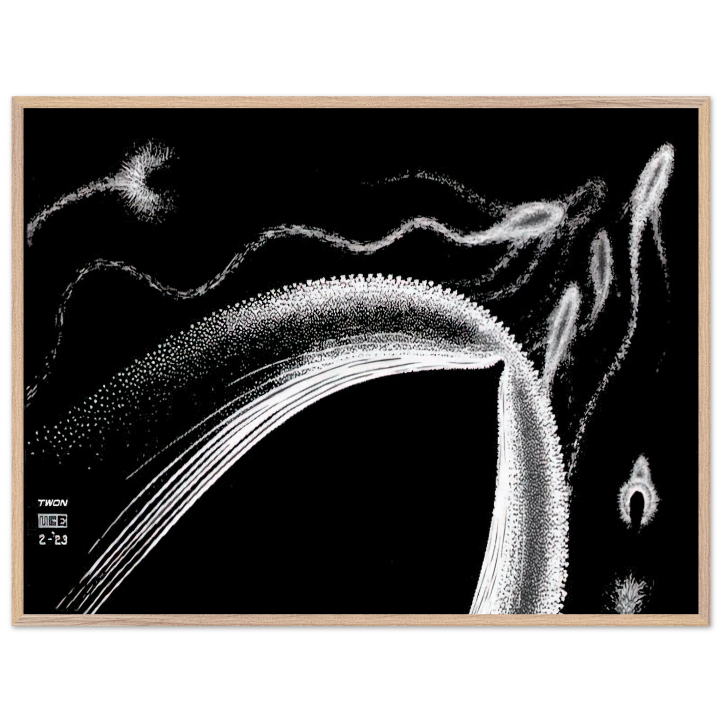 MC Escher - DOLPHINS Wall Art - 60x80 cm / 24x32 inches - Fine Art Poster - -